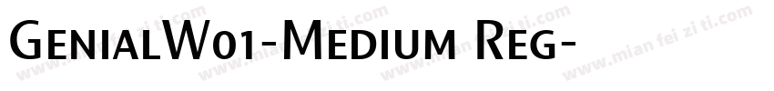 GenialW01-Medium Reg字体转换